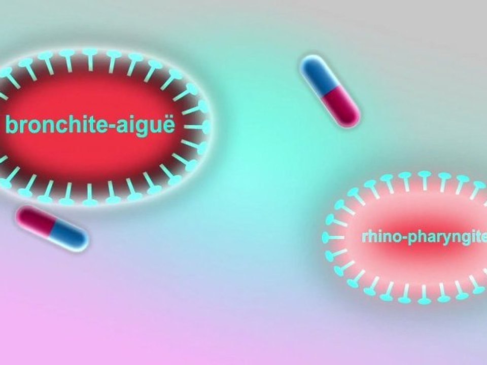 quizz-antibiotiques
