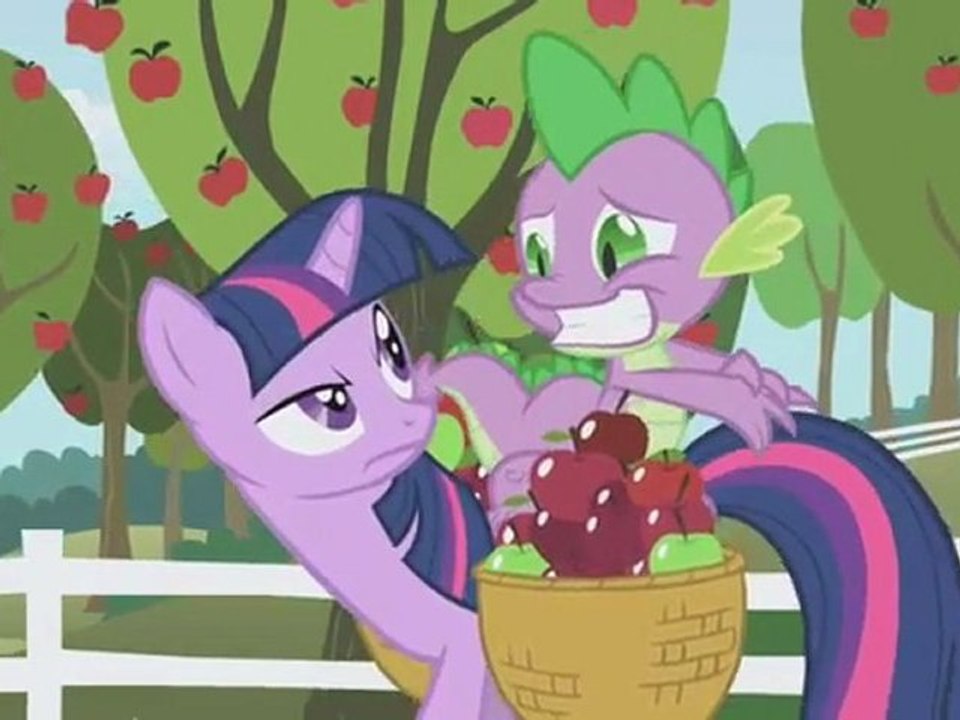 My Little Pony   Friendship Is Magic & Colore & Colle