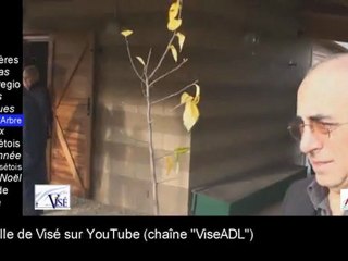 novembre 2011 : L'actu vidéo de la Ville de Visé