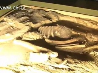 Alla scoperta delle origini con la mostra 'Homo Sapiens'