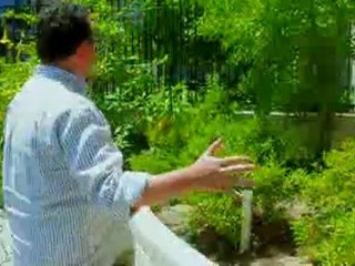 Landscape and Garden Project Tips from the Professionals