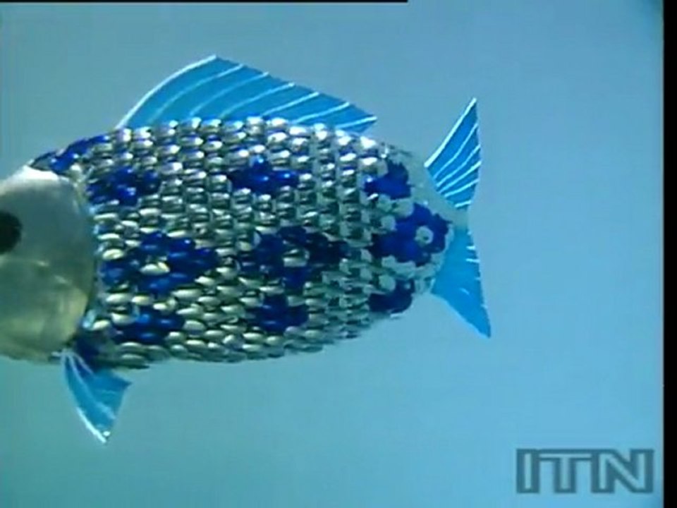 Robot Fish