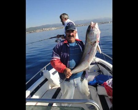 Alanyada JİGGİN ile KUZU BALIĞI AVI.