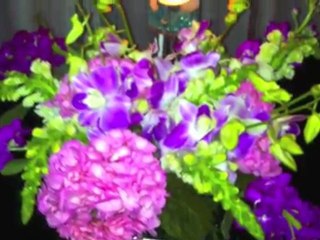 It's Elvira's Party Planning! Space Odyssey USA NJ