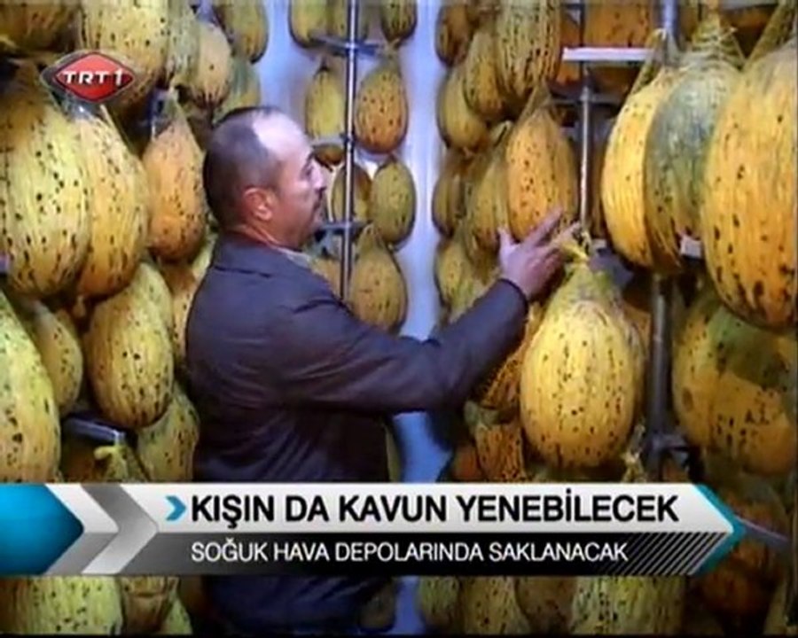 kirkagac_kavunu