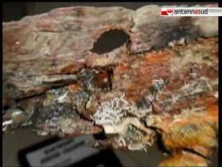 TG 01.12.11 Affondamento "Francesco Padre", i Ris di Roma esaminano i reperti