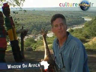 Dumb American tourist in South Africa