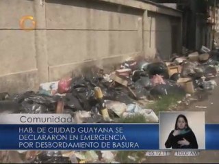 La basura se desborda en Ciudad Guayana