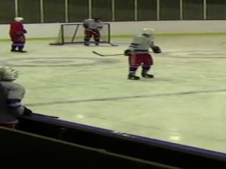 DUckSteIN Hockey WEB version