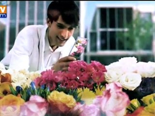 Les écrans du futur sortiront du cadre