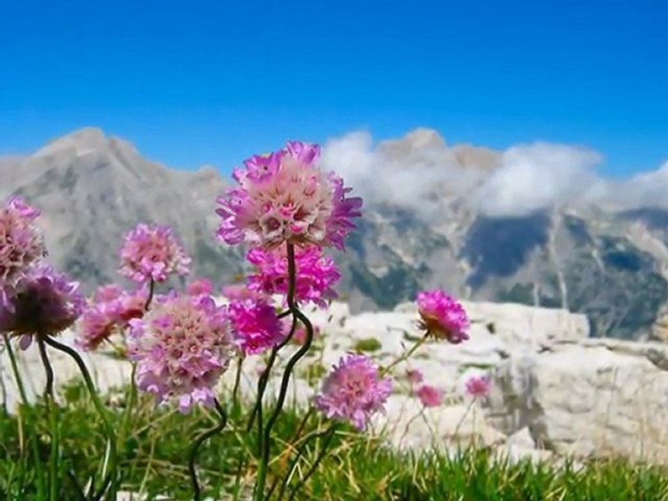 urfasevdam  sedat uçan mecnun olmuşum