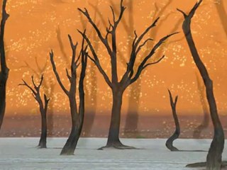 The Surreal World of Frans Lanting