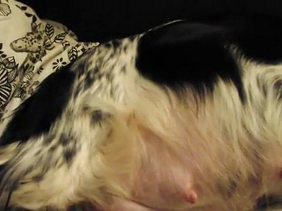 Les bébés d'Emmy bougent dans son ventre