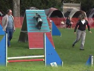 C'ven saison agility 2011 Première partie