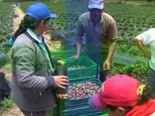 3_SABADO 3 DICIEMBRE 2011 hda la guaira