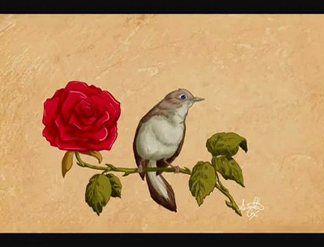 Melihat Gülses & İncesaz - Bülbülüm Altın Kafeste