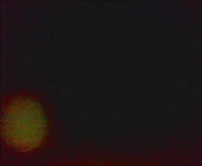 Ünal Güner -- Damarımda Kanımsın