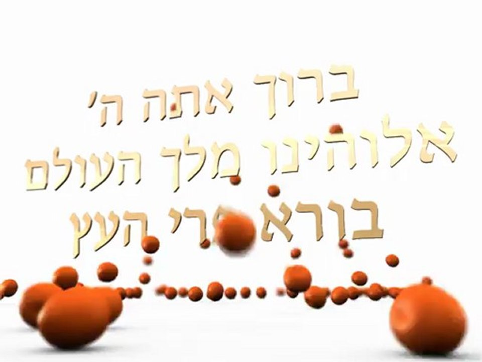 Torah Live - Oranges 02