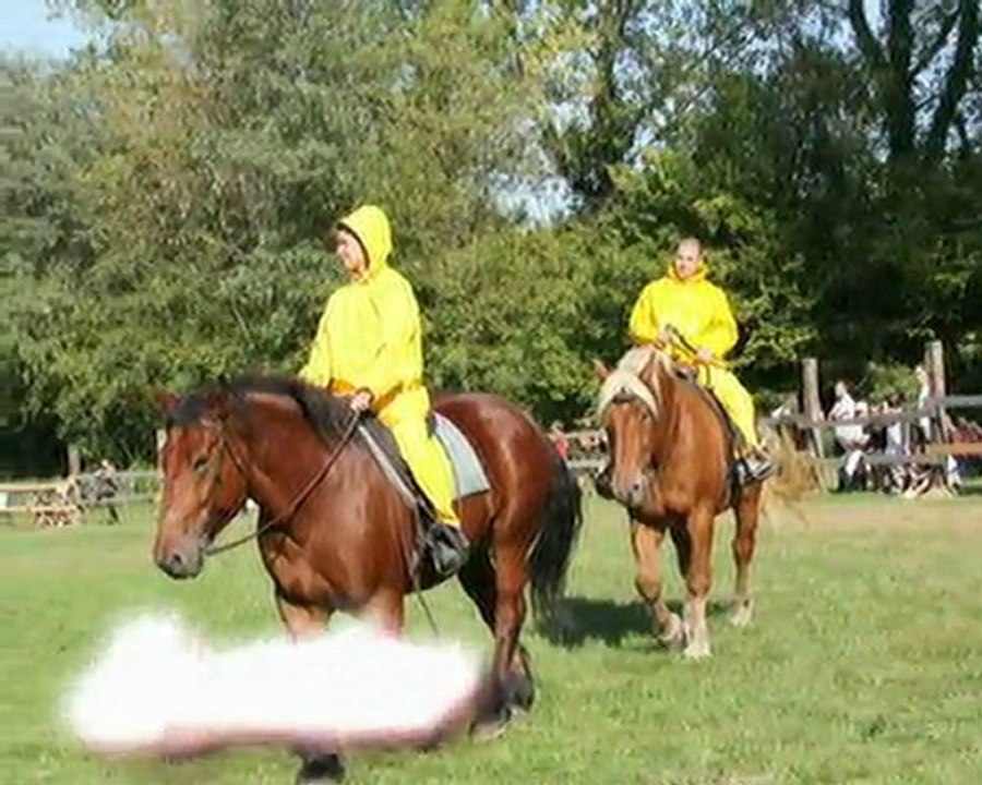 fête du cheval de mackenheim 2011