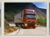 Evergreen Auto Transport: We Provide the Best Auto Shipping Experience