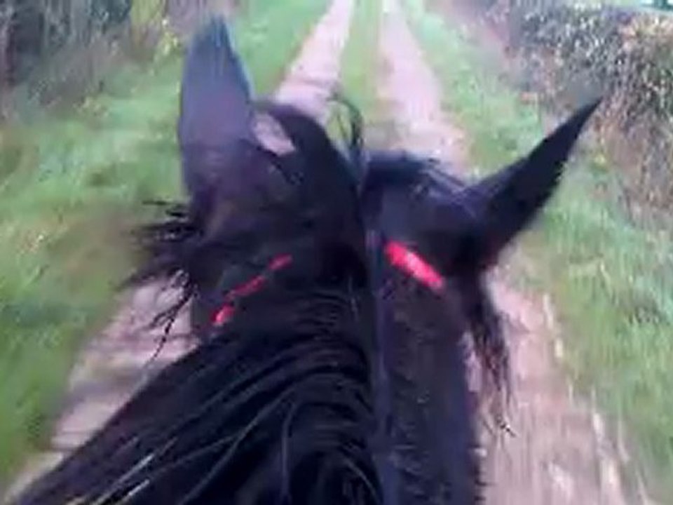 Le bonheur! Pti galop, super départ, et transitions à la voix...