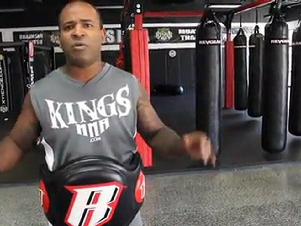 Revgear Body Guard Belly Pad - Combat Collection MMA Gear