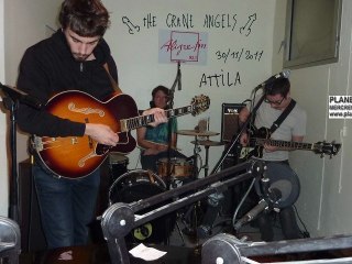 Crane Angels "Attila"