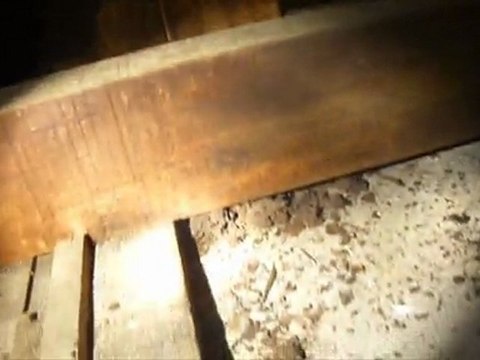 Building Inspections Brisbane - Separate Building & Pest Essential