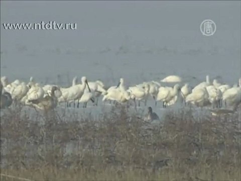 Обзор мировых событий (25 ноября - 1 декабря)