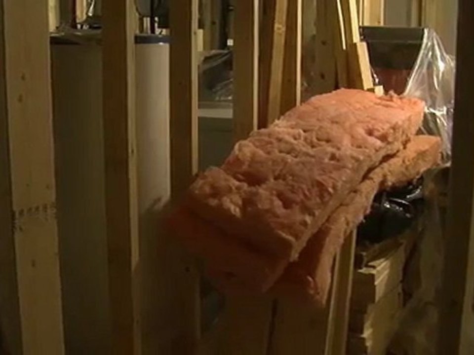 Eco Action Osgoode Ottawa Green Tech Insulation