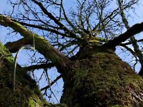 Time Lapse – Finding Oregon