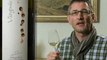 Viognier 2010 Philippe Bovet - Wein im Video