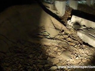 Building Inspections Brisbane - A stitch in time saves nine