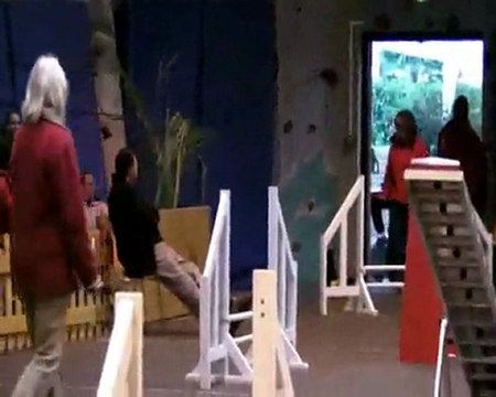 Teddy Capitole novembre 2011