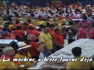 trobada gegantera 2011d'argeles sur mer