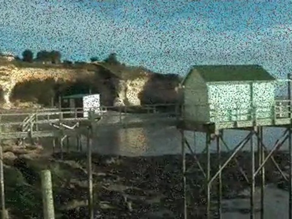 l'estuaire