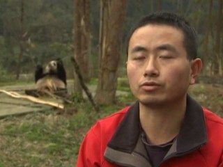 Panda gift brings Sunshine to Scotland