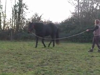 Rebel, travail en carrière