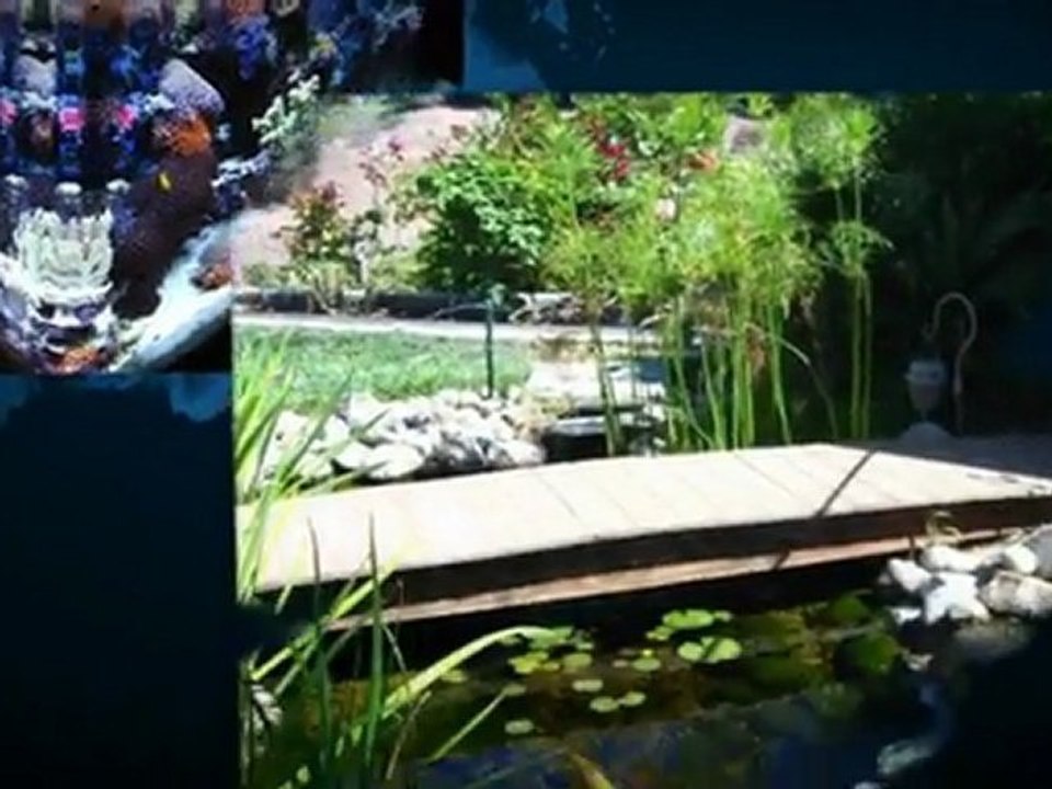 Fish Tank & Pond Service Santa Barbara