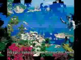 Islas Paradisiacas - Isla de Capri