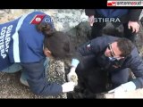 TG 01.12.11 La tutela ambientale, in Puglia, passa dalla Guardia Costiera