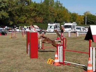 Ever Levignac Oct2011