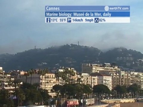 Dresden - Germany, Las Vegas - USA, Salzburg - Austria, Ascona - Ticino - Switzerland, Cannes - France, Cologne - Germany, Warsaw - Poland