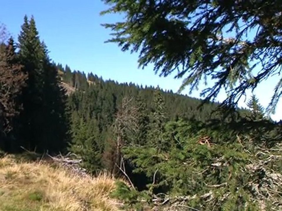 Stuhleck Impressionen