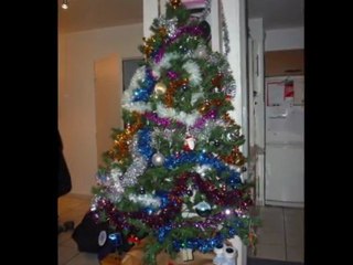 2011_12 - Sapin de Noël