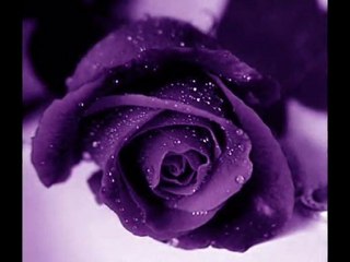 UNUTTURAMAZ SENİ HİÇ BİR ŞEY