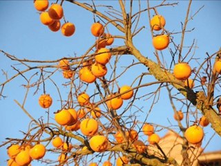 fontecese beb a gubbio camere