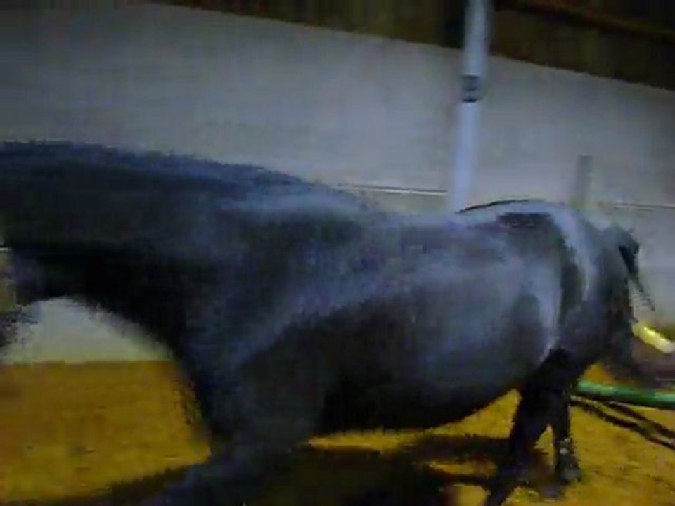 saut combiné