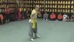 Kung Fu - Shaolin - Praying Mantis