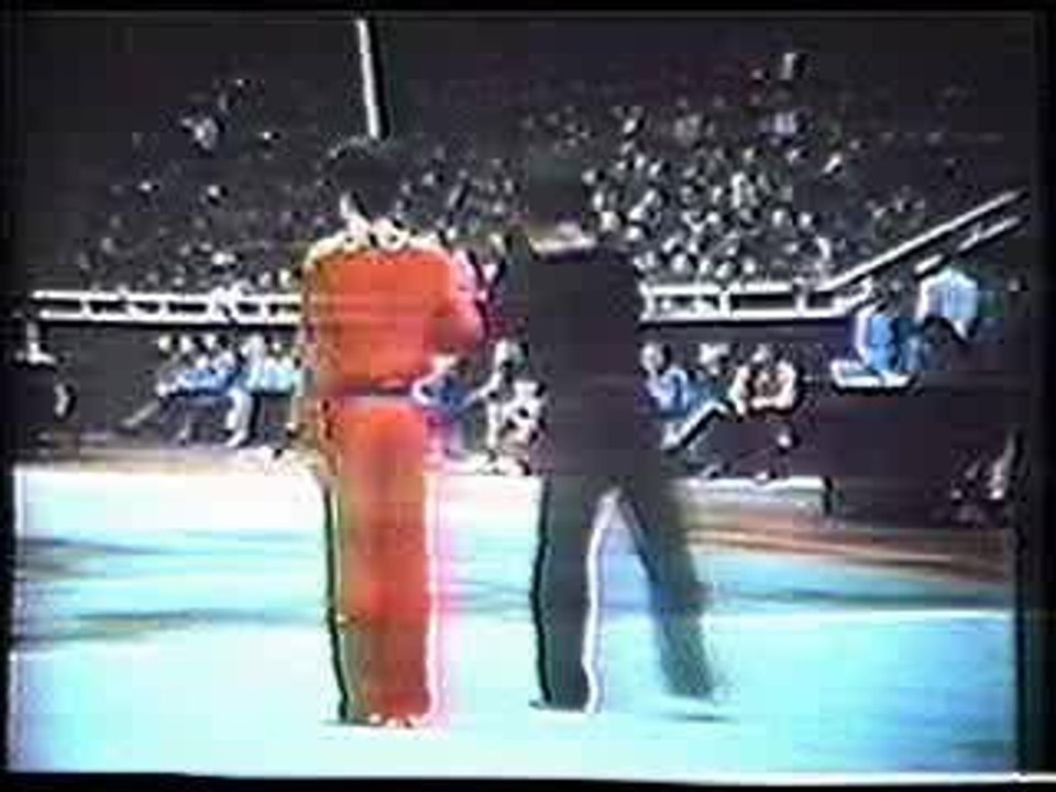 Wushu
